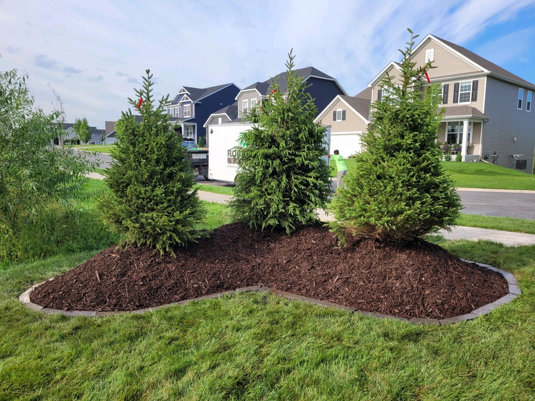 Freshly installed mulch bed with shrubs