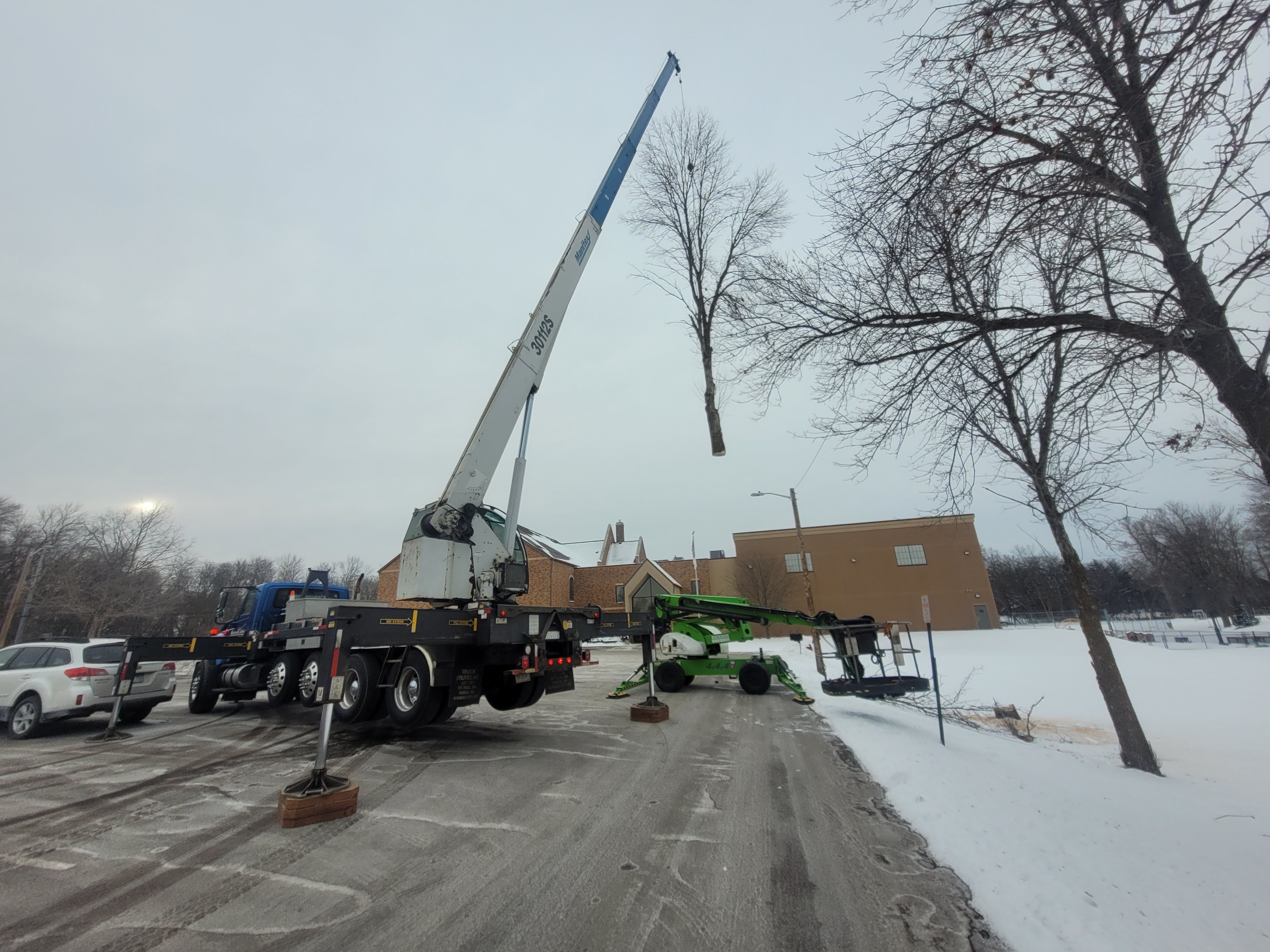Arborist trimming a tall tree from an aerial lift
